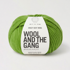 Crazy Sexy Wool - Wonderland Green