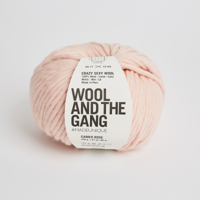Crazy Sexy Wool - Cameo Rose