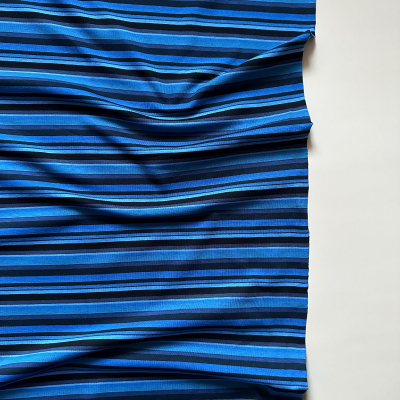 Cotton Stripe Jersey - Blue