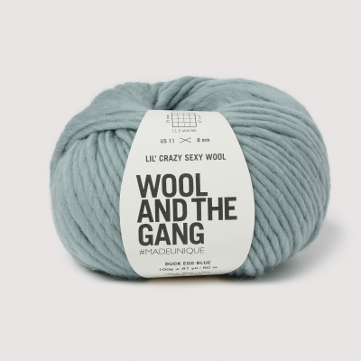 Lil Crazy Sexy Wool - Duck Egg Blue 